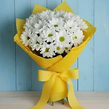 Букет цветов из:  Хризантемы в Манасе