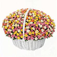 Премиум букет из: Розы в Манасе