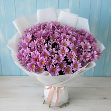 Букет цветов из:  Хризантемы в Манасе